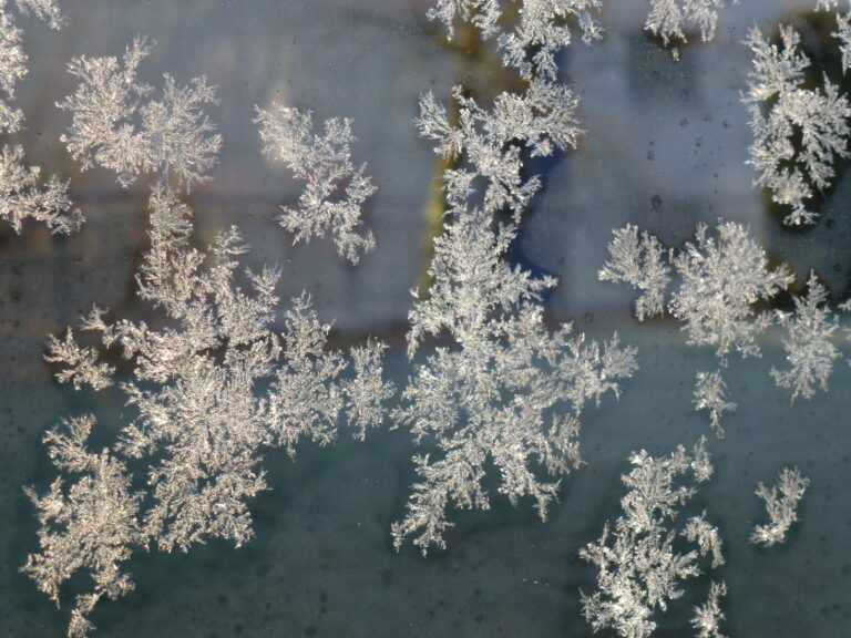 Kommen Sie gesund durch den Winter