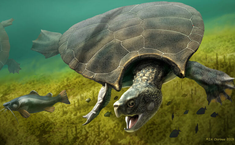 Riesiges fossiles Reptil