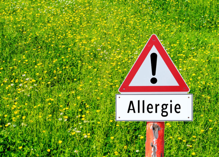 Auch die Gräserpollen stürmen los