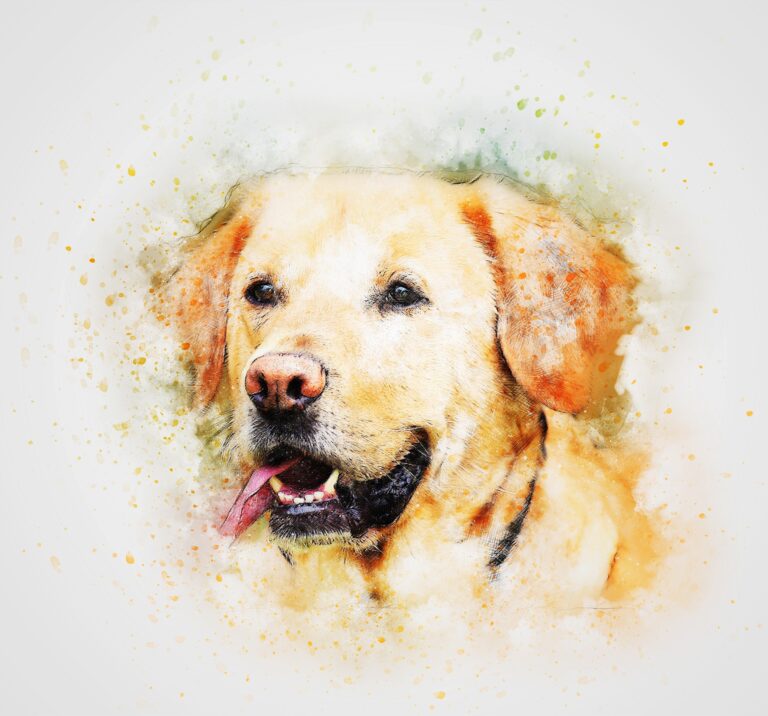 Der Hund aus dem Schaufenster