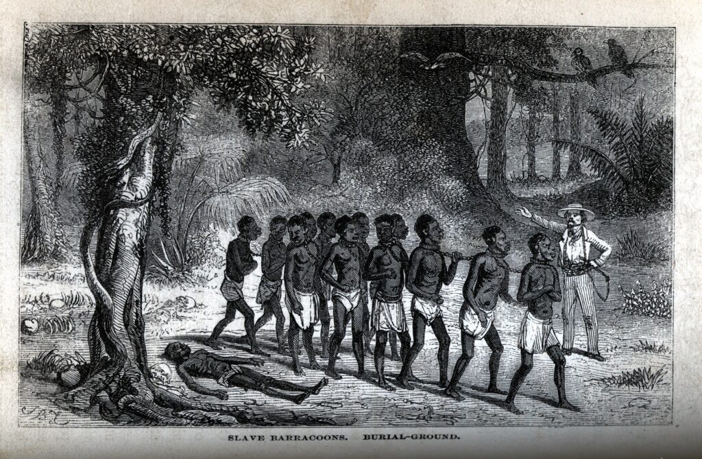 Die Geschichte des letzten amerikanischen Sklaven Barracoon 