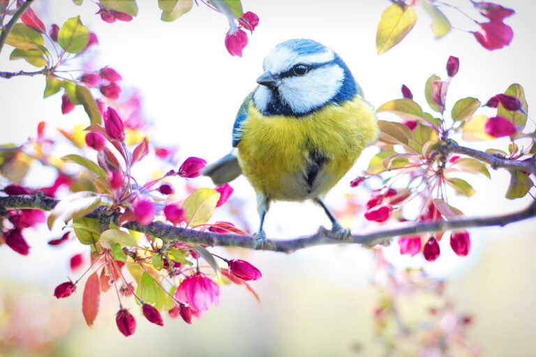 Endlich wieder Frühling!