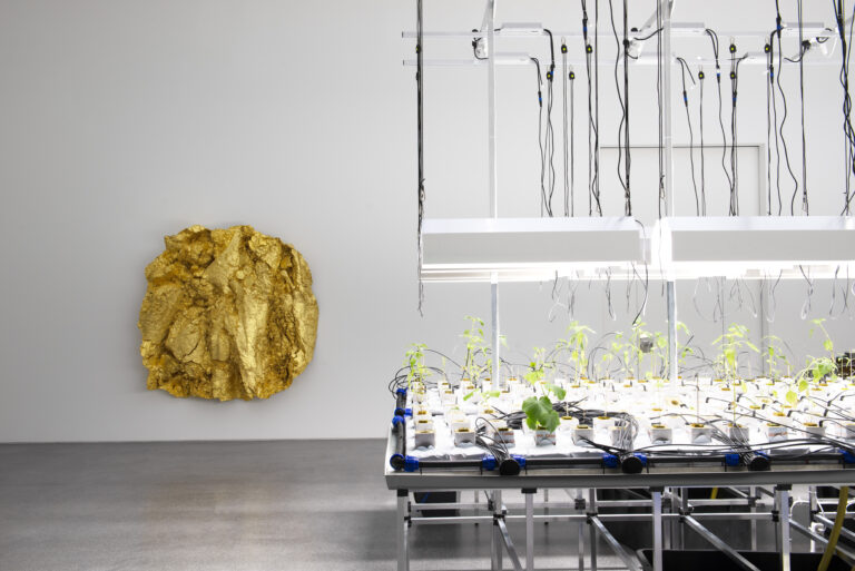 Natur und Bauerntum in der Kunst