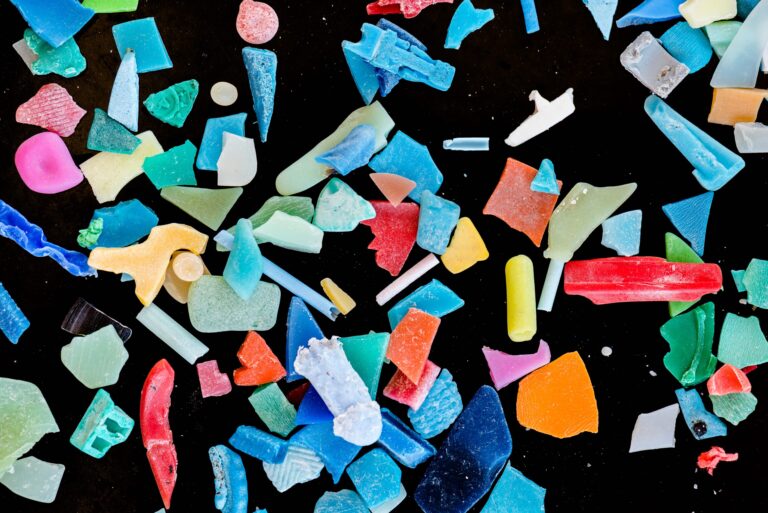 Mikroplastik in Schweizer Gewässern