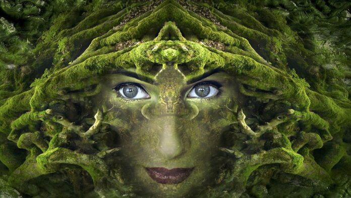fantasy-2824500_1920