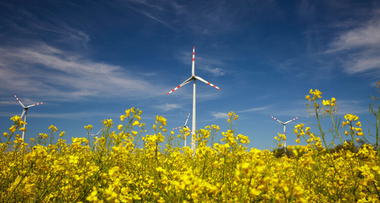 4000 Szenarien für die Klimawende
