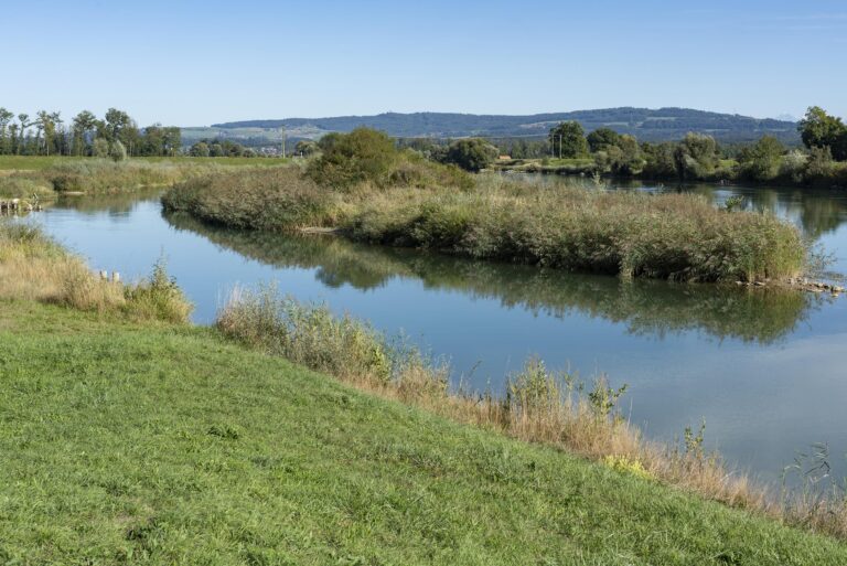 Eine Win-Win-Situation für Natur und Landwirtschaft