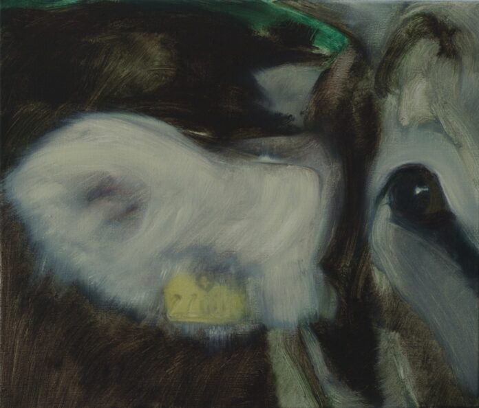 Vera Marke (1972), Invn 1005, 2004, Öl auf Leinwand, 49 x 58 cm, © Vera Marke